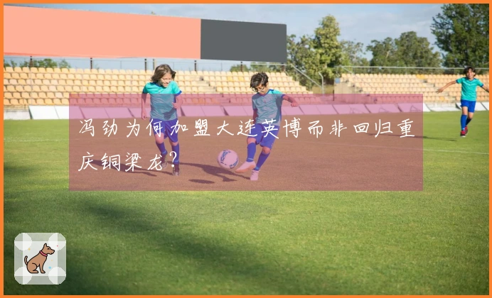 冯劲为何加盟大连英博而非回归重庆铜梁龙？