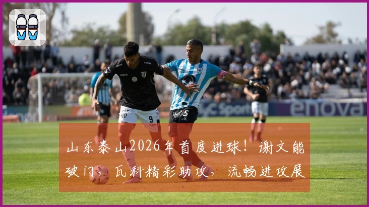 山东泰山2026年首度进球！谢文能破门，瓦科精彩助攻，流畅进攻展现